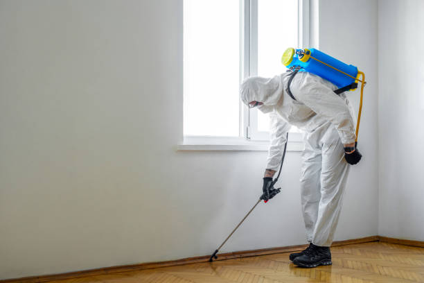 Professional Pest Control in Alamo, TX